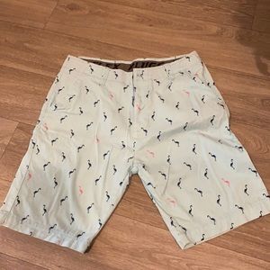 Men Flex Plugg Light Blue Flamingo Shorts